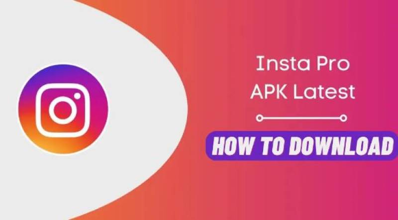 Download Instagram Content With Ease From InstaPro